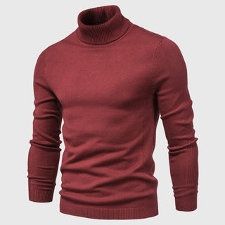 Rollkragenpullover - Hochwertiger waschbarer Pullover für Herren