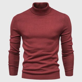 Rollkragenpullover - Hochwertiger waschbarer Pullover für Herren