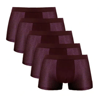 Boxershorts für Herren - Premium Kühlende Unterhosen (5-Pack)