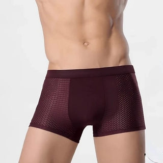 Boxershorts für Herren - Premium Kühlende Unterhosen (5-Pack)