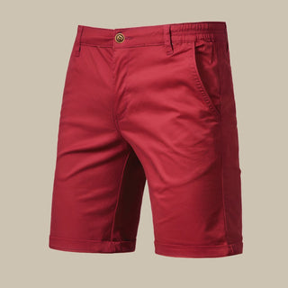 Gusto shorts | Stilvolle kurze Leinen-optik Bermudashorts für Herren