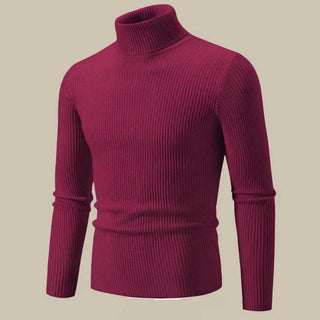 Xavier Rollkragenpullover | Gestrickter Kabelstrickpullover für Herren